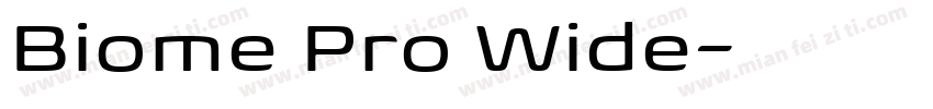 Biome Pro Wide字体转换
